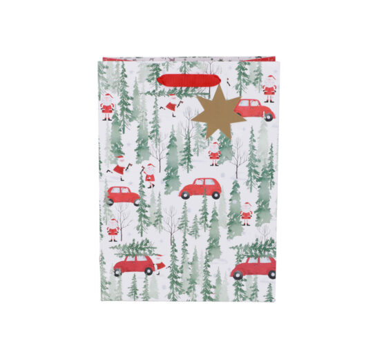 Darilna vrečka ARTEBENE - klasična, 22x30x11cm