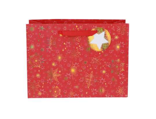 Darilna vrečka ARTEBENE - enobarvna, 30x22x11cm