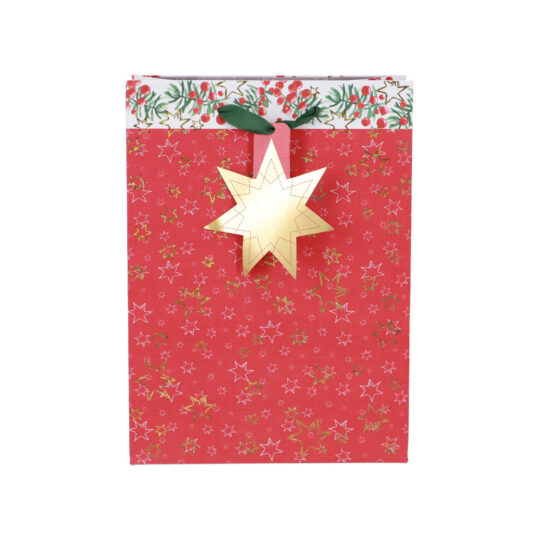 Darilna vrečka ARTEBENE - klasična, 22x30x11cm