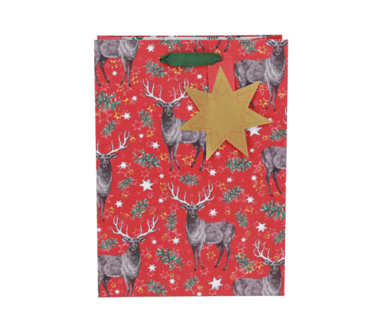 Darilna vrečka ARTEBENE - klasična, 22x30x11cm