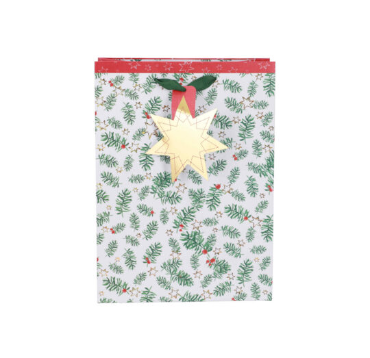 Darilna vrečka ARTEBENE - klasična, 22x30x11cm