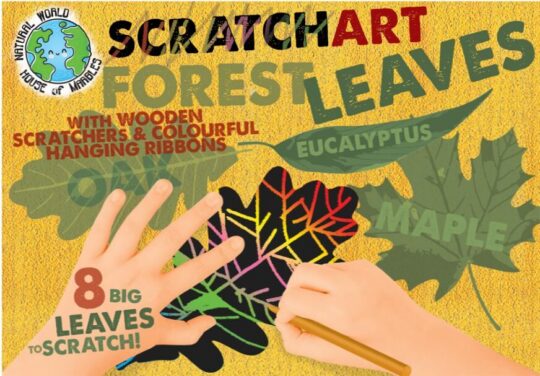 Praskanka HOUSE OF MARBLES - art set Leaves