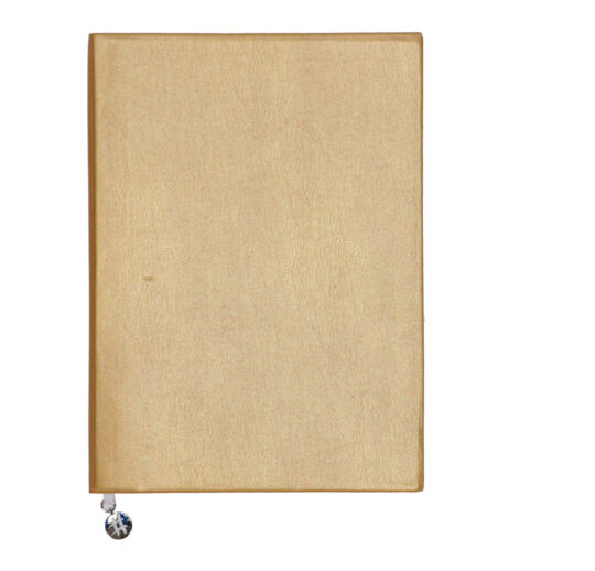 Rokovnik KJUT VAJB - B5, 2023, zlat