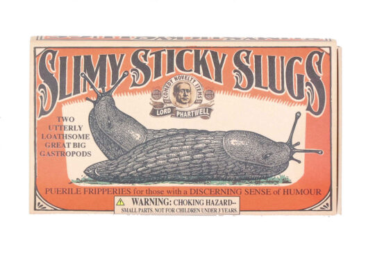 Igrača HOUSE OF MARBLES - sluzasti polž