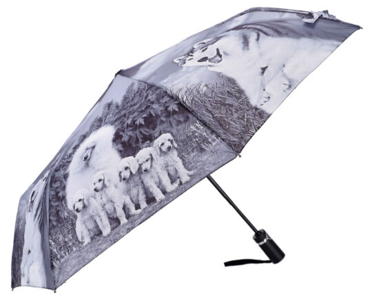 Dežnik UMBRELLA AND MORE Psi in mačke 2 - odpri/zapri sistem, 96 cm