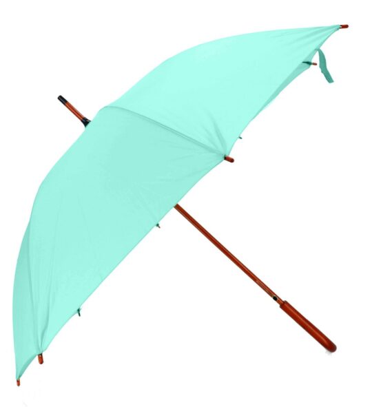Dežnik UMBRELLA AND MORE Pastel Zelena - avtomatski, lesen, 103 cm
