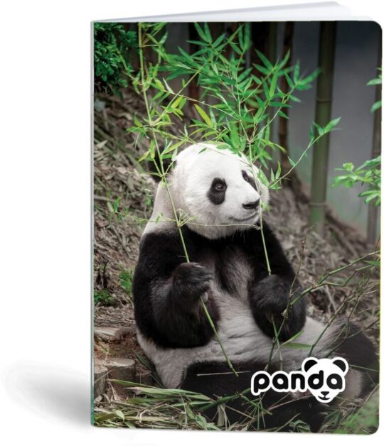 Beležka - A6, 40 listov, panda