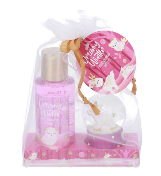 Darilni set ACCENTRA Dreamy Winter - gel za tuširanje 100ml, snežna krogla