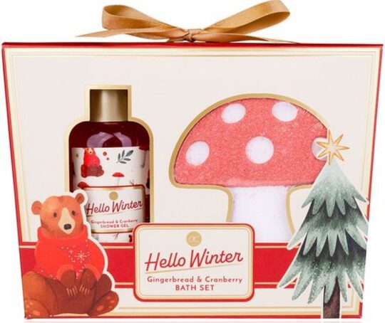 Darilni set ACCENTRA Winter - gel 100ml, bombica 100g