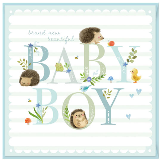 Voščilnica PARTISAN - baby boy hedge hugs, 1 kos