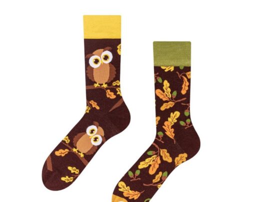 Nogavice DEDOLES - dolge, Curious Owl, 1 par, 39-42