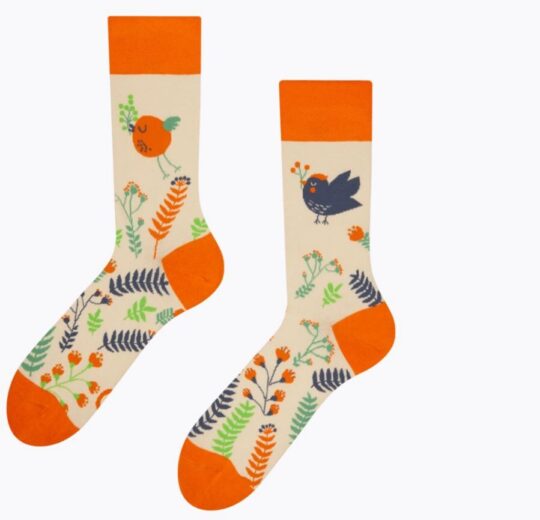 Nogavice DEDOLES - dolge, Cute Birds, 1 par, 35-38