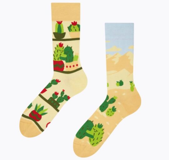 Nogavice DEDOLES - dolge, Cactus Love, 1 par, 35-38