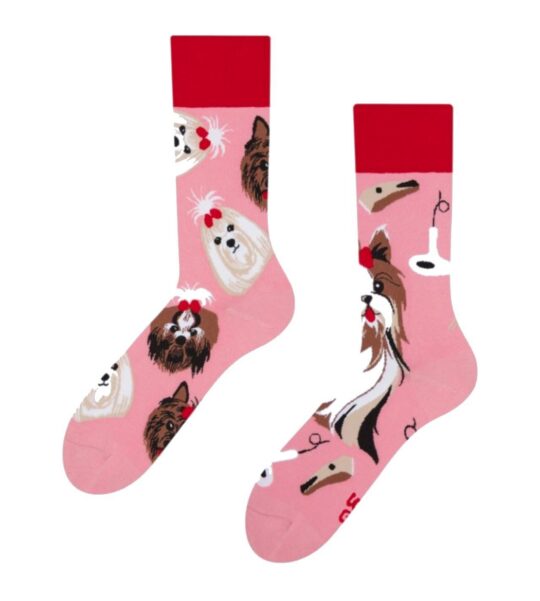 Nogavice DEDOLES - dolge, Yorkshire Terrier, 39-42