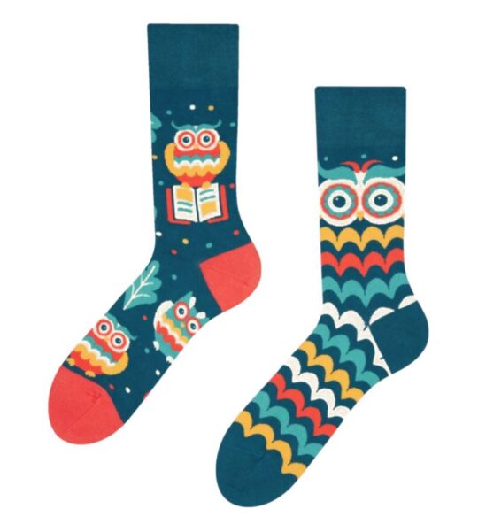 Nogavice DEDOLES - dolge, Wise Owl, 35-38