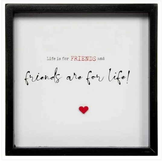 Plaketa LASSER PAVEY - Life Is for Friends