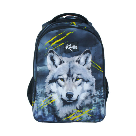 Nahrbtnik za prosti čas KAOS 2v1 - Alpha