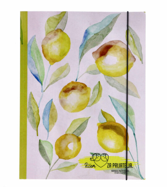 Mapa z elastiko - A4, RZP limona