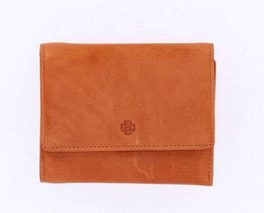 Denarnica CESARE BRINIOLLI - črna, za kartice