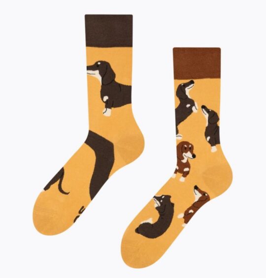 Dolge nogavice Dedoles - dachshunds, 39-42