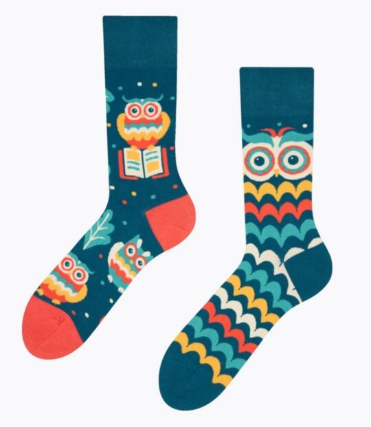 Dolge nogavice Dedoles - wise owl, 35-38