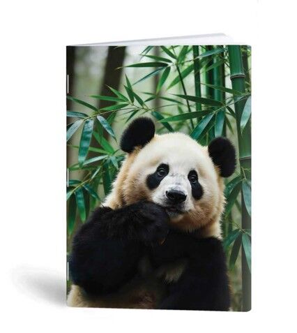 Blok A6 ABC-123 - panda, 40 listov